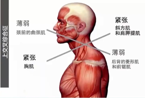 厚背变薄的方法