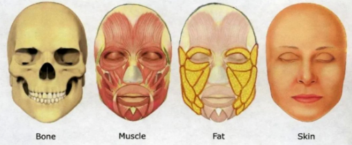 脸型不好看怎么改善