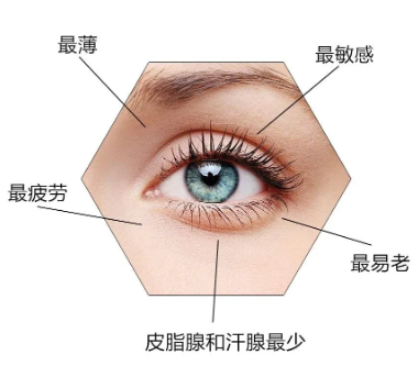 眼袋